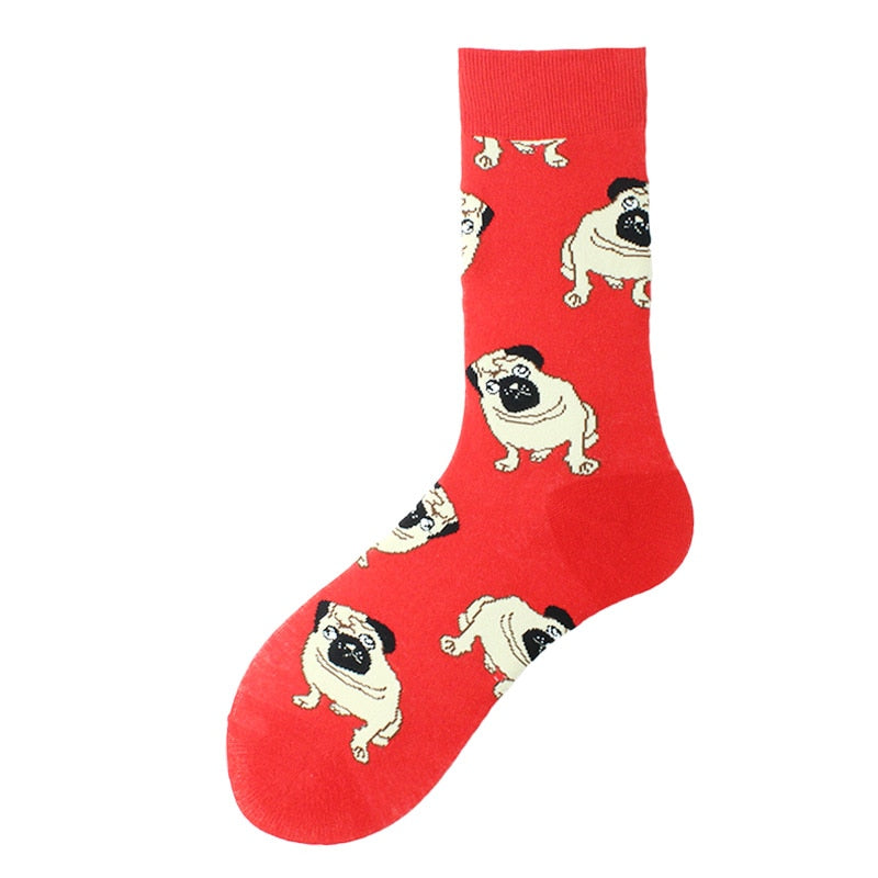 Fun Socks for Ladies