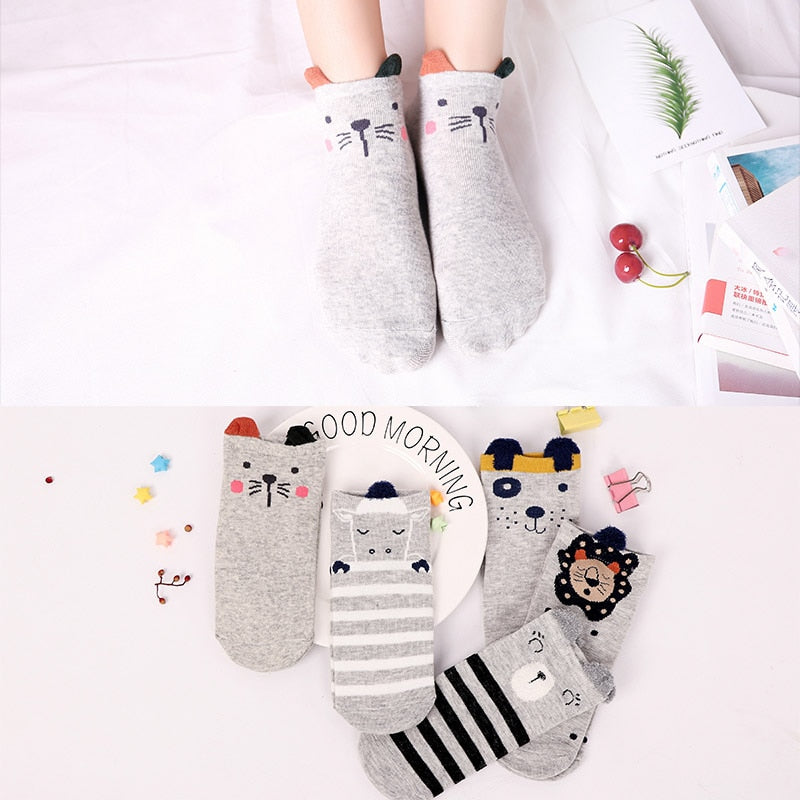 Five Pairs of Super Cute Women's Ankle Sock's