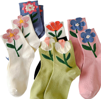 Women's Spring Flower Boat Socks